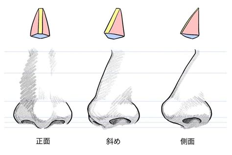 鼻子 怎麼畫|4种方法来画一个鼻子